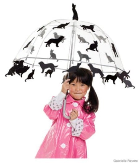 Raining Cats and Dogs - 60 Fun and Easy DIY Halloween Costumes Your Kids Will Love