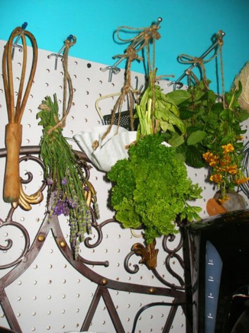 Store Oily Herbs in the Pantry - 40 DIY Tricks To Make Your Groceries Last As Long As Possible