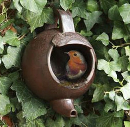 23 DIY Birdfeeders That Will Fill Your Garden With Birds - DIY 