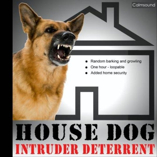 Get a Dog - 20 Easy and Effective DIY Tricks to Keep Your Home Safe