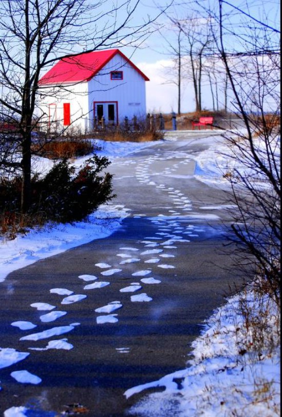 Leave Tracks in the Snow - 20 Easy and Effective DIY Tricks to Keep Your Home Safe