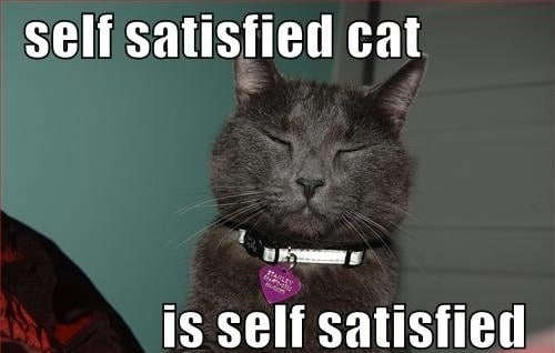 Self-Satisfaction - 28 Important Life Skills Anyone Can Learn Within a Matter of Days