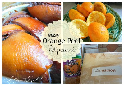 Make Potpourri - 20 Surprising Uses for Leftover Fruit and Vegetable Peels