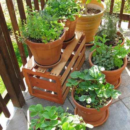 Container Gardening Vegetables and Herbs