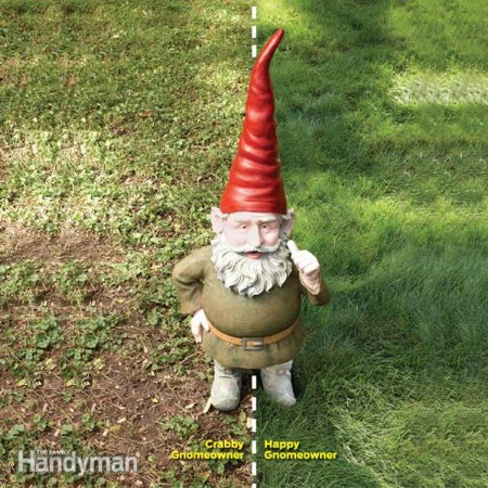 Reseed The Lawn - 150 Remarkable Projects and Ideas to Improve Your Home's Curb Appeal