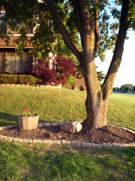 Cover Bare Spots - 150 Remarkable Projects and Ideas to Improve Your Home's Curb Appeal