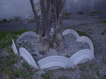Use Broken Plates as Garden Edging