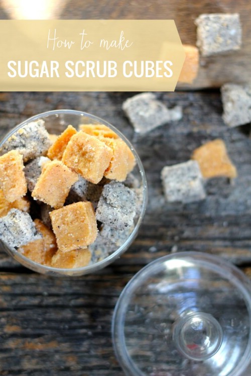 Make Sugar Scrub Cubes