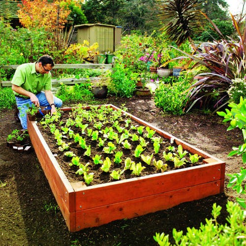 Build Raised Garden Beds