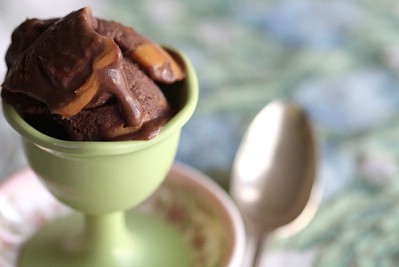 Double Chocolate Peanut Butter Ice Cream