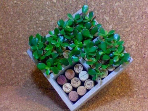 Magnetic Cork Planters