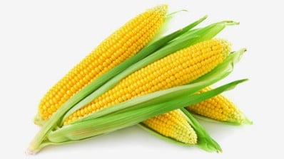 Corn on the Cob