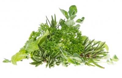 Fresh Herbs
