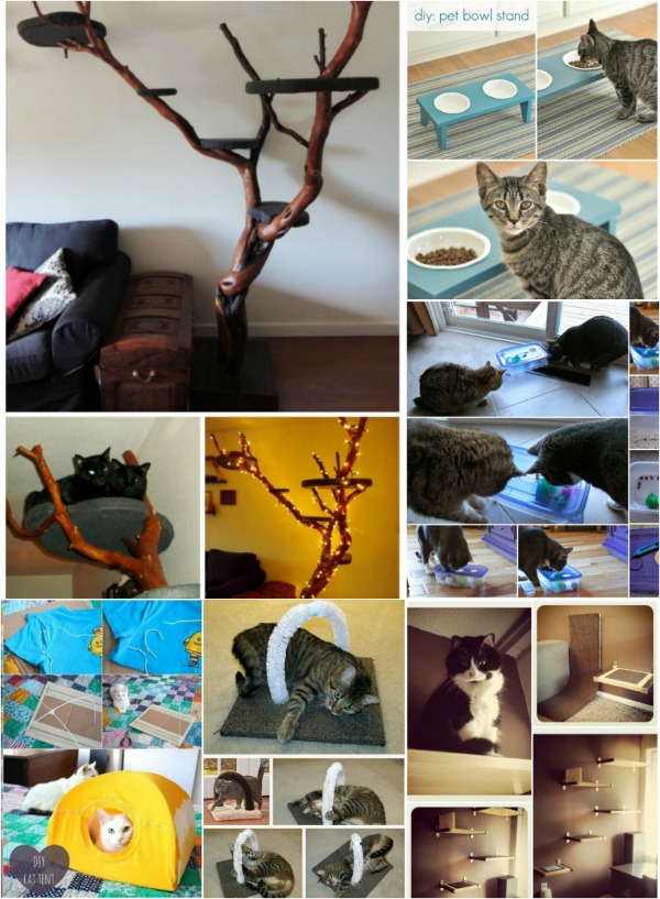 20 Purrfect DIY Projects for Cat Owners Page 2 of 2 DIY & Crafts
