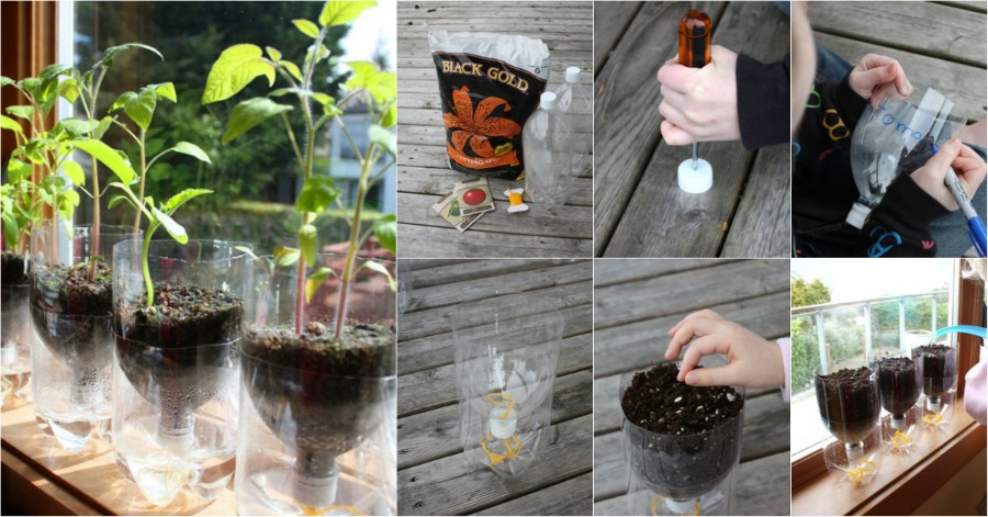 plastic pots recycle watering self bottles seed starter diy crafts liter plants repurpose gardening diyncrafts winter way turn