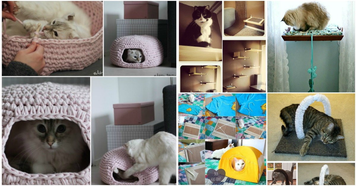 20 Purrfect DIY Projects for Cat Owners - Page 2 of 2 - DIY & Crafts