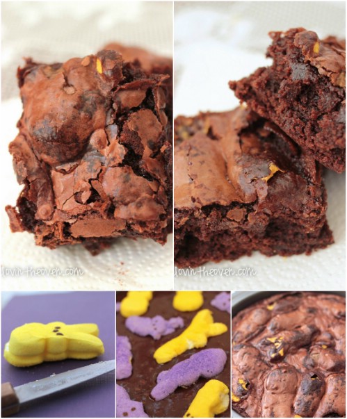 Marshy Brownies