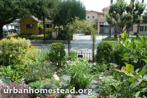 6,000lbs Of Food Produced Yearly On 1/10 Of An Acre. This Family Is Incredible!