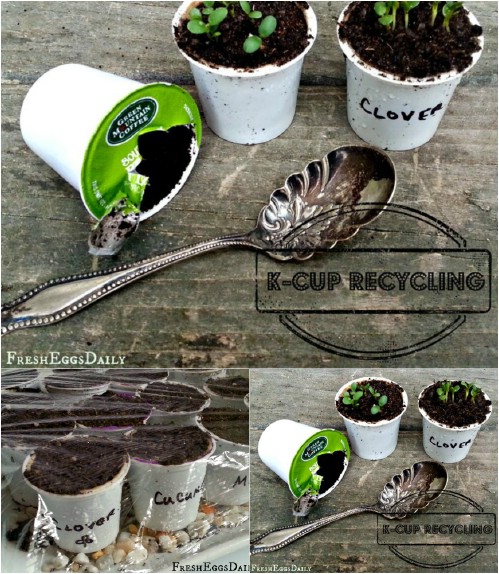 Use K-Cups as seed starters.