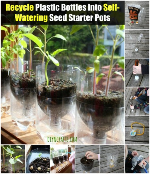 Turn plastic bottles into self-watering seed starters.