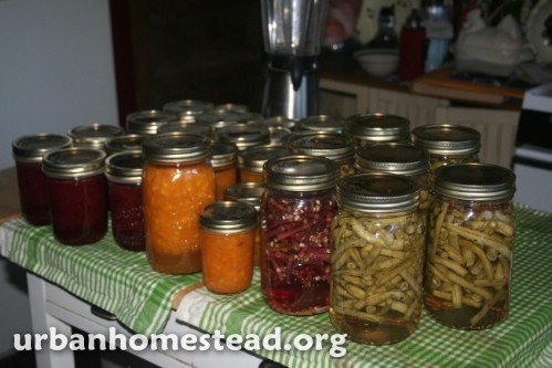 6,000lbs Of Food Produced Yearly On 1/10 Of An Acre. This Family Is Incredible!