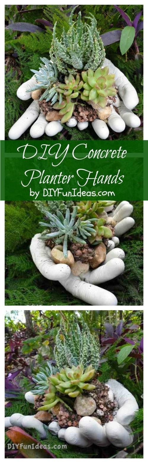100 Expert Gardening Tips, Ideas and Projects that Every Gardener