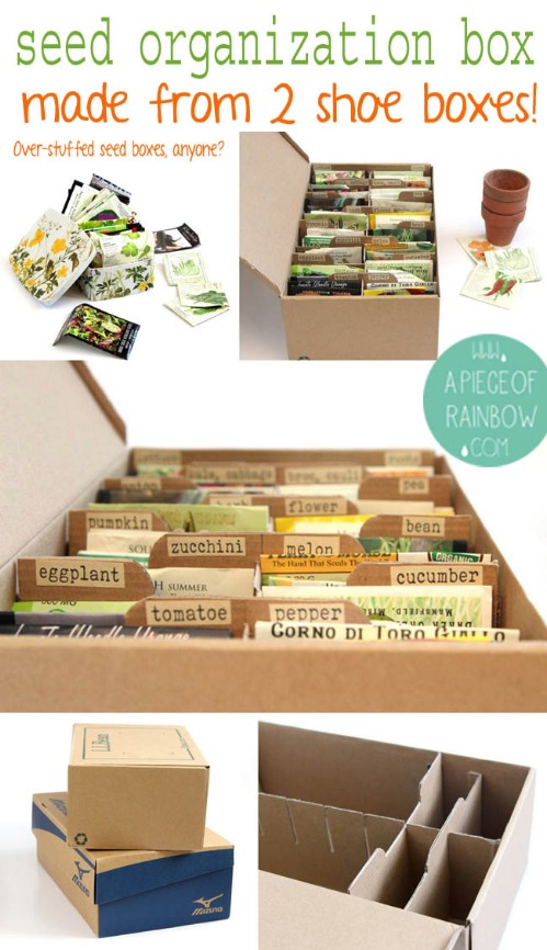 Up-cycle shoe boxes into seed boxes.