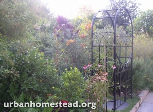 6,000lbs Of Food Produced Yearly On 1/10 Of An Acre. This Family Is Incredible!