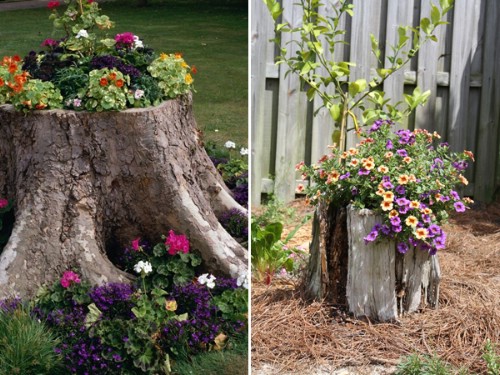Turn your old garden tree stumps into something spectacular.