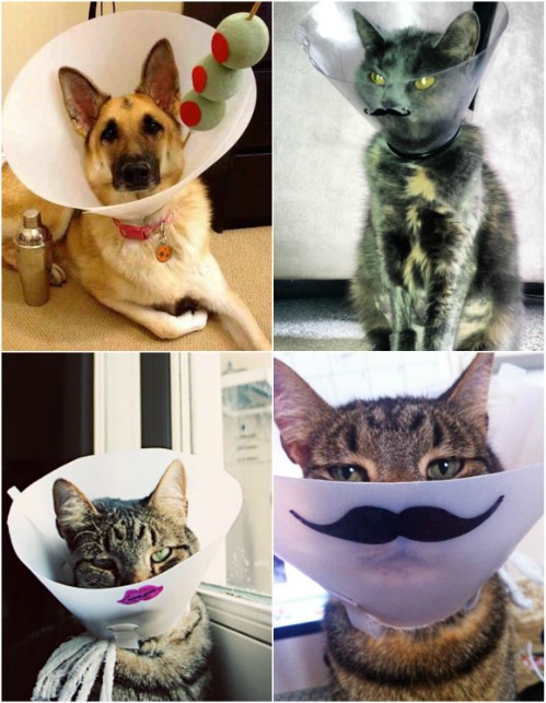 Cone Heads
