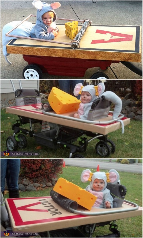 Mouse Caught in a Trap