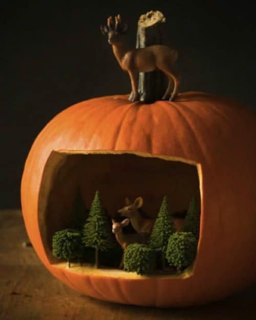 Make a Pumpkin Diorama