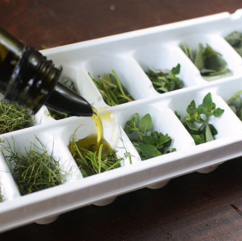 Put Your Ice Cube Trays to Good Use