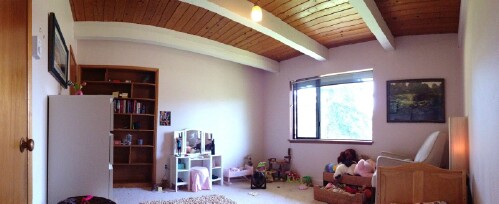 Dreamy enchanted forrest girl bedroom project.