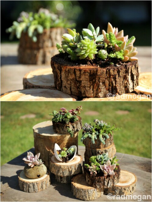 7-succulent-planters
