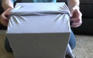 How to Make a Cheap, Cozy Cat Box with Two Simple Supplies!