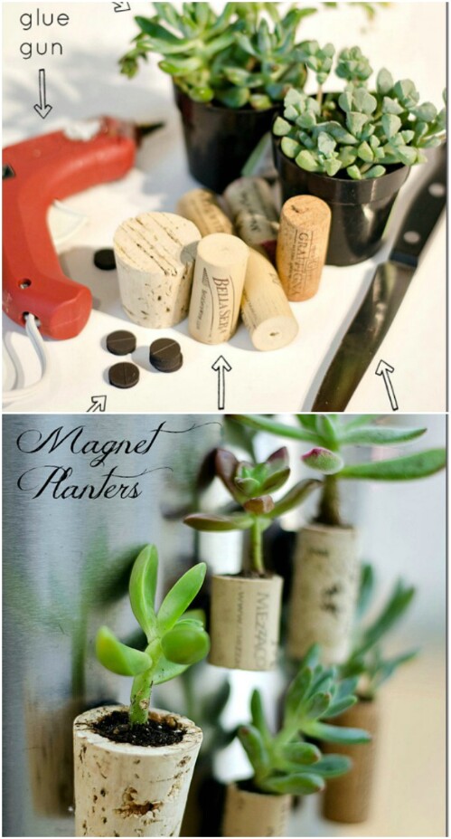 Mini Magnetic Garden