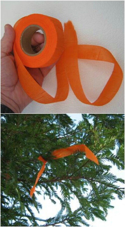 14. Biodegradable Trail Tape