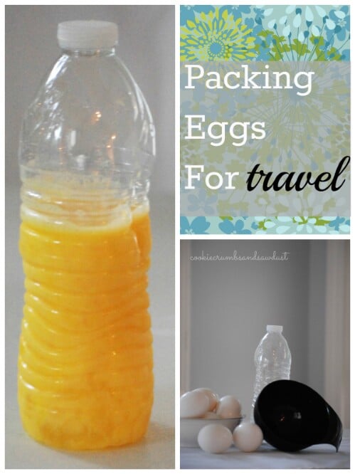 20. Egg Storage