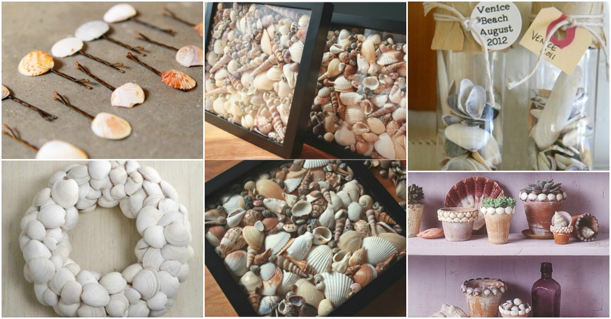20 Fabulous Beach-Worthy Projects to Create from Seashells - DIY & Crafts