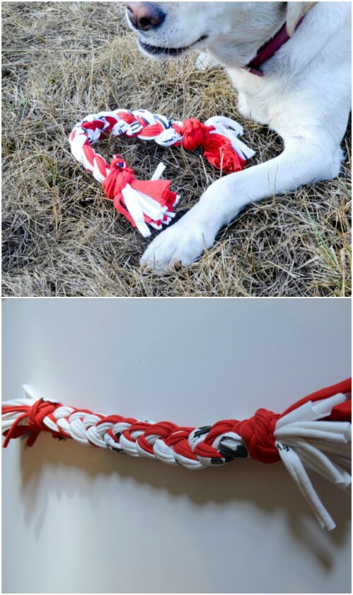 T-Shirt Dog Rope