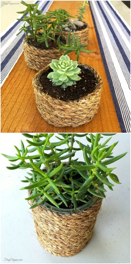Rope Wrapped Succulent Planters - 20 Frugally Genius Ways To Upcycle Empty Tuna Cans