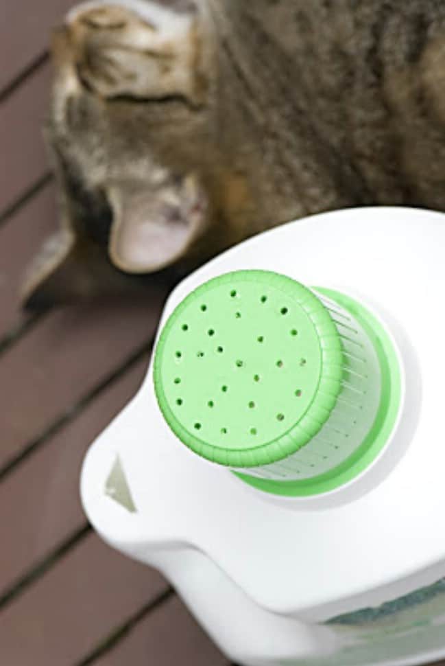 Cheap And Easy DIY Detergent Watering Can