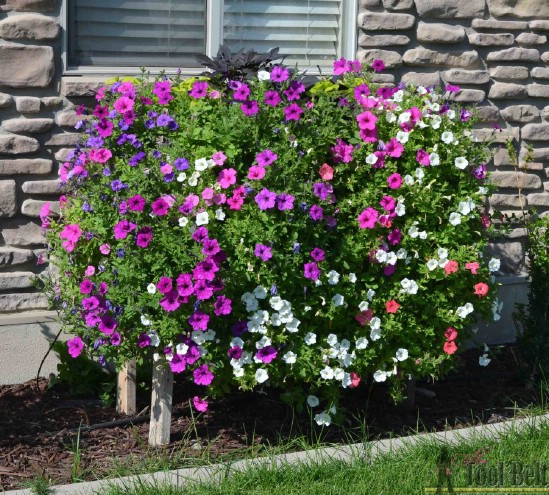 Steps on how to do the DIY Recycled Pallet Planter