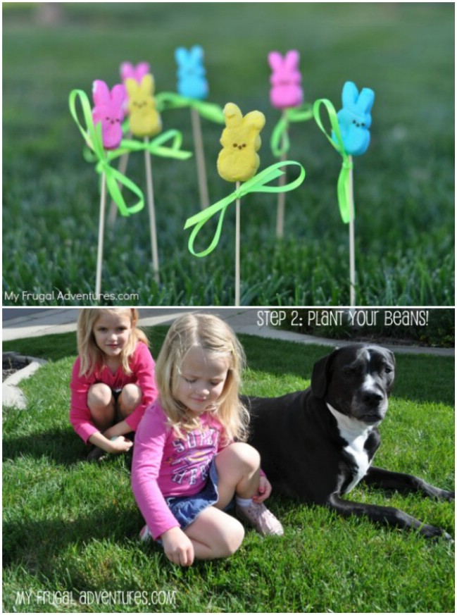 Magical Jelly Bean Garden