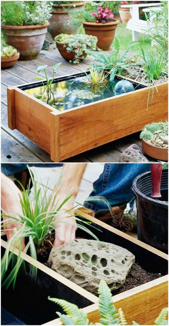 Easy DIY Mini Pond Box