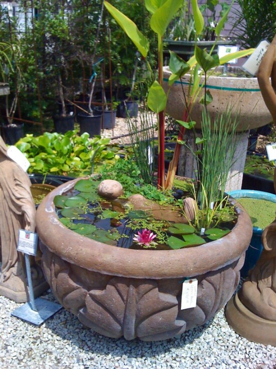 20 Charming And Cheap Mini Water Garden Ideas For Your Home And Garden