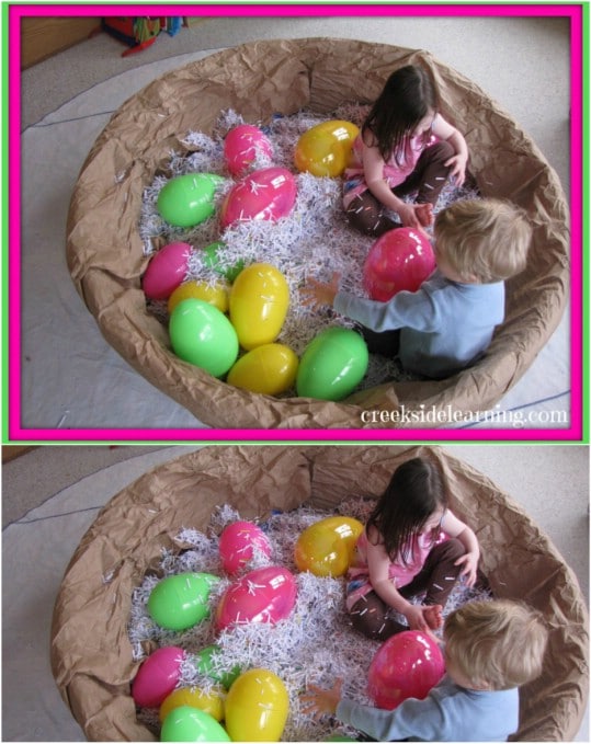 Amazing Giant Bird's Nest