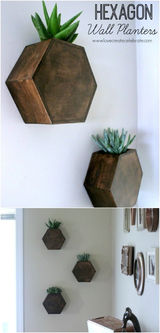 DIY Hexagon Wall Planters