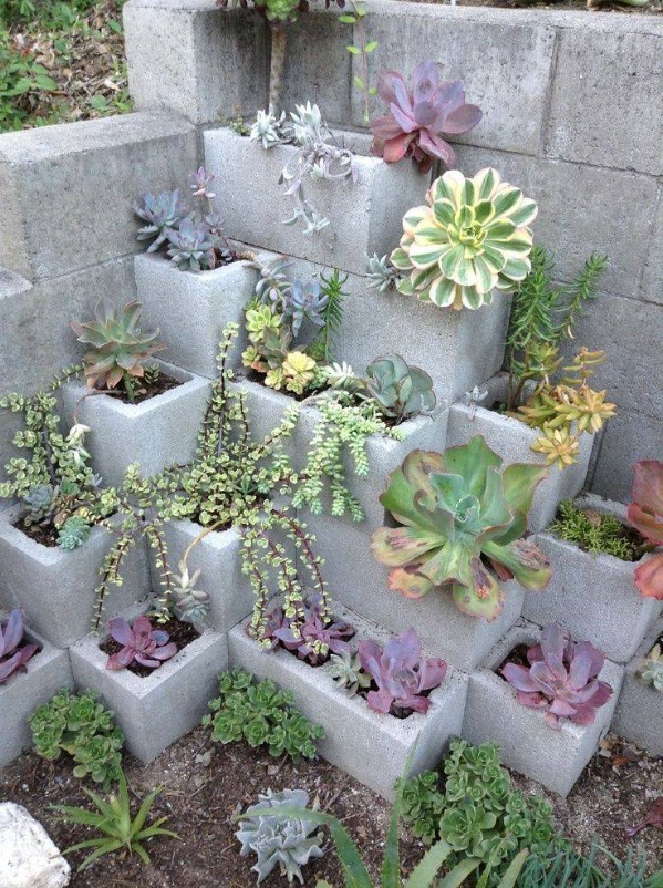 Cinder Block Succulent Garden